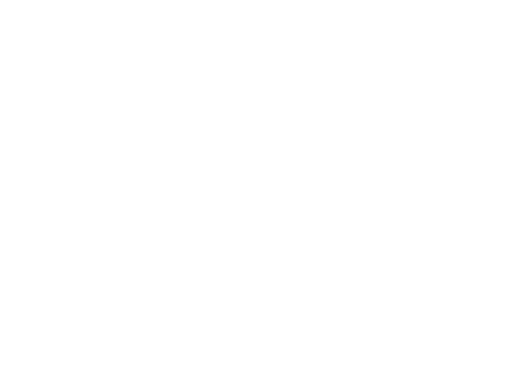 Graphic Studios